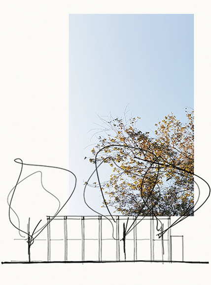 images/uploads/example088888.jpg